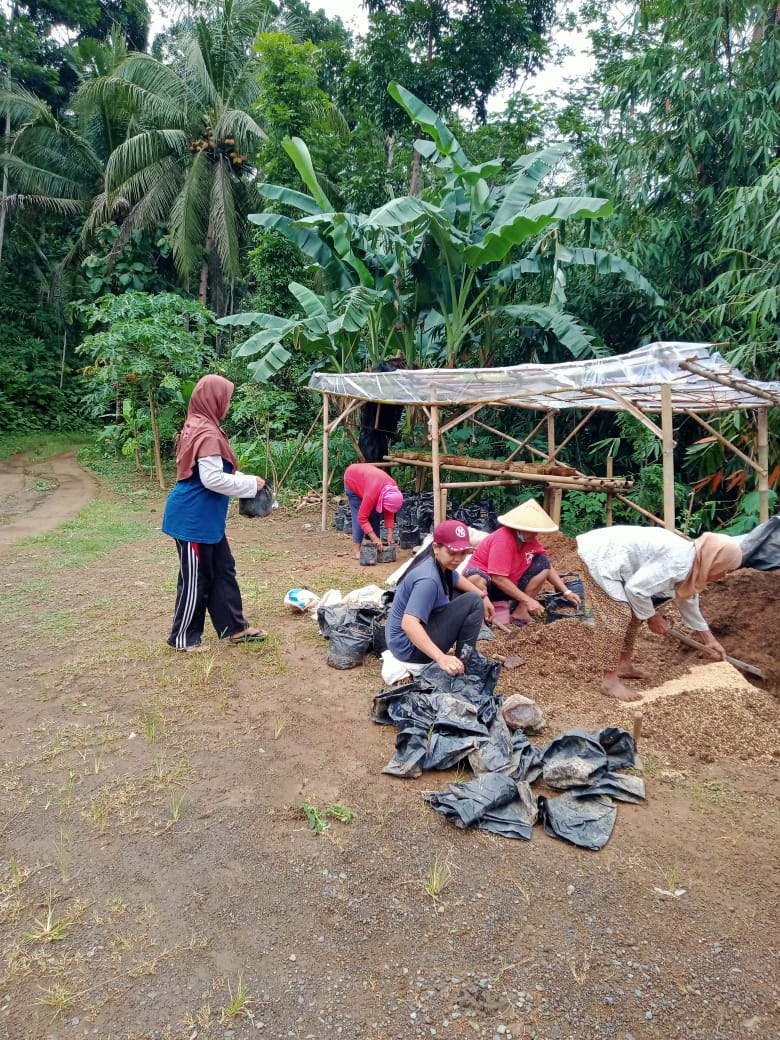 kwt melati gunung rego siap berkebun