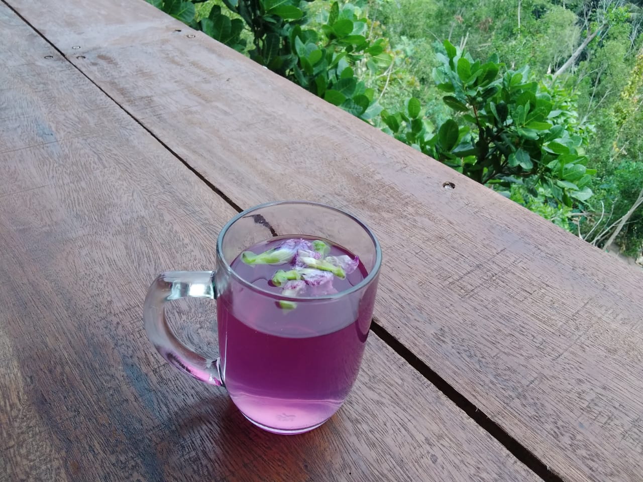 Sungguh-Sungguh Terjadi: Minuman Hangat dan Bunga Telang