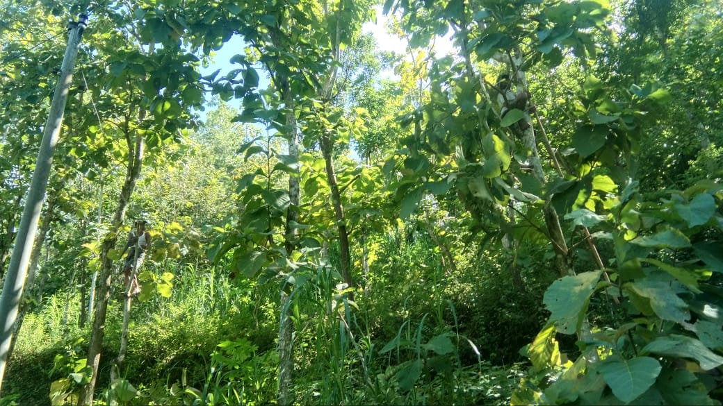 Kerja Bakti Rabas-Rabas Warga Pandu