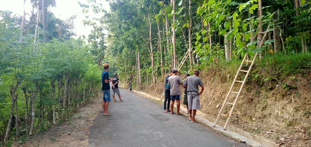 Pemasangan Lampu Tumblr oleh Warga Sindon